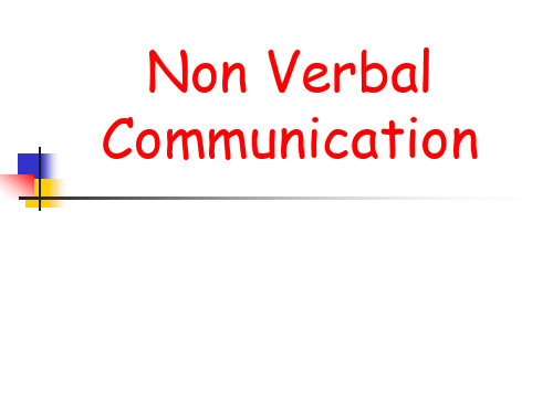 Non Verbal Communication 非言语交流