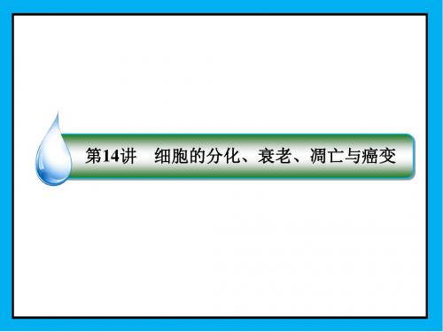 2019届高考人教版生物一轮复习课件：1-1-4-14细胞的分化、衰老、凋亡与癌变