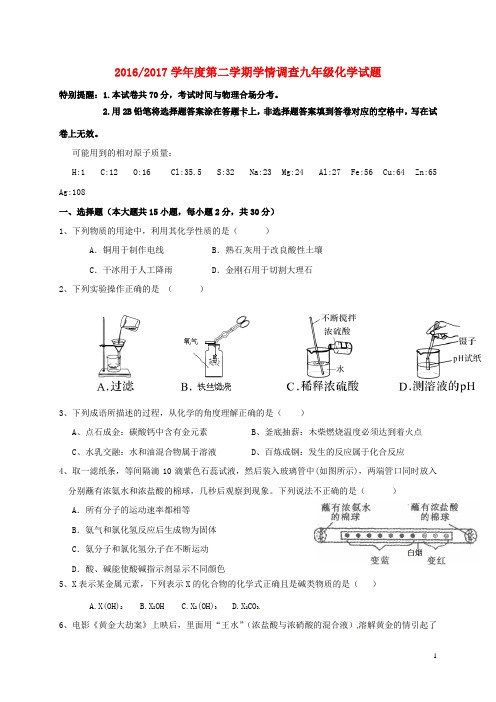 江苏省东台市2017届九年级化学下学期第一次月考试题