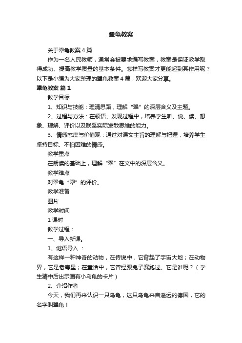 关于犟龟教案4篇