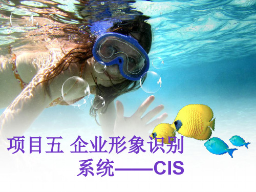 企业形象识别系统__CIS