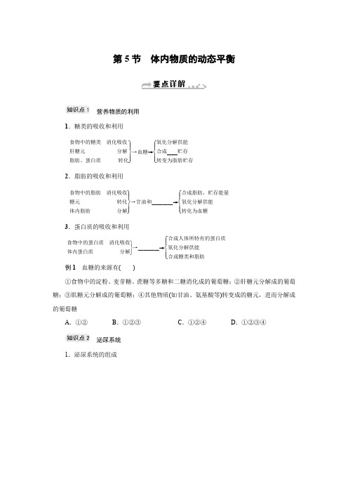 第5节 体内物质的动态平衡