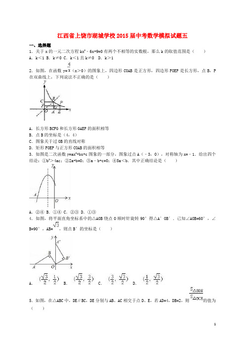 江西省上饶市湖城学校2015届中考数学模拟试题五(含解析)