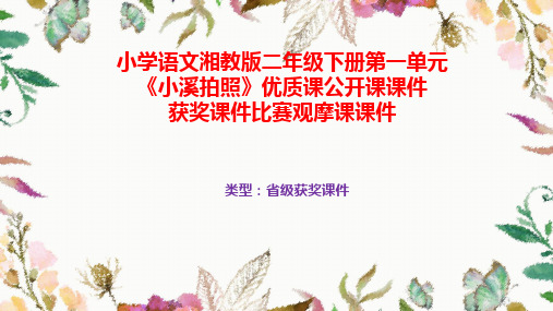 小学语文湘教版二年级下册第一单元《小溪拍照》优质课公开课课件获奖课件比赛观摩课课件B001