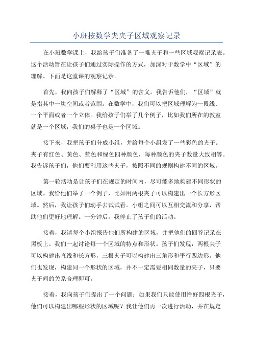 小班按数学夹夹子区域观察记录