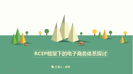 RCEP电子商务PPT课件