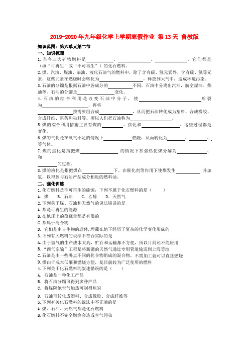 2019-2020年九年级化学上学期寒假作业 第13天 鲁教版