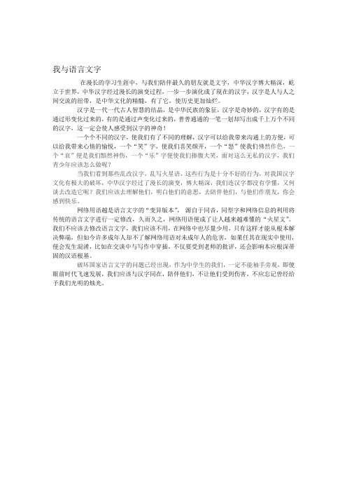 我与语言文字