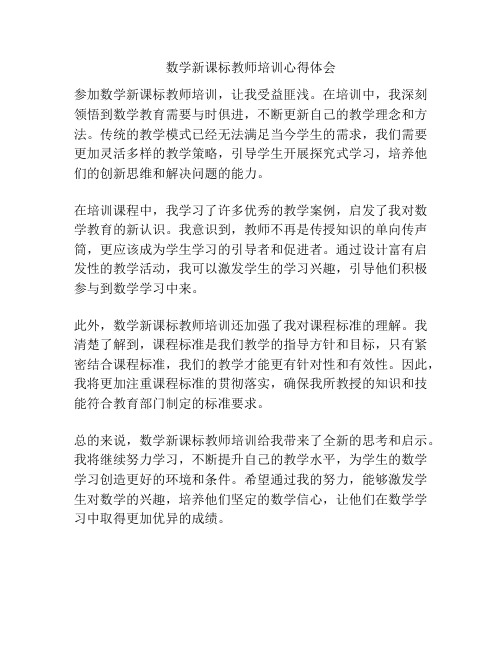 数学新课标教师培训心得体会