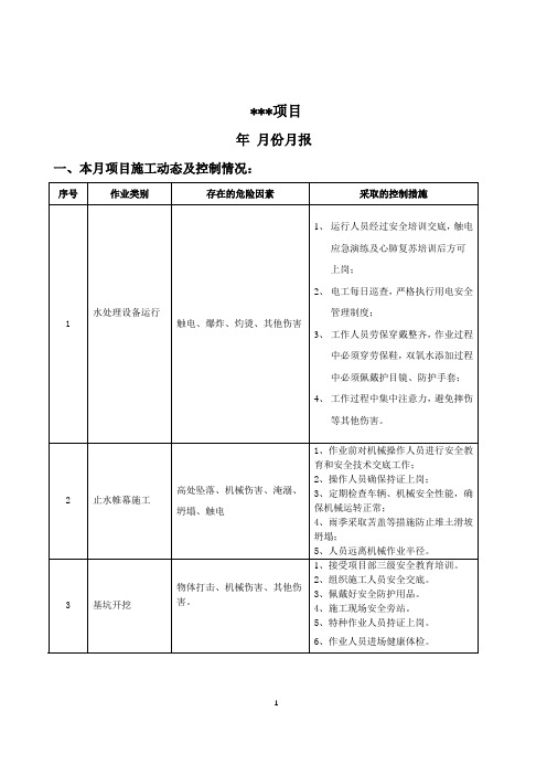 项目HSE管理月报模板