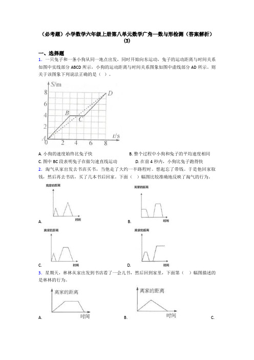 (必考题)小学数学六年级上册第八单元数学广角—数与形检测(答案解析)(3)