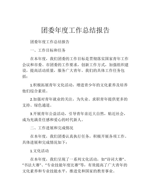 团委年度工作总结报告