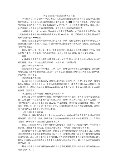 大型企业电子商务运用现状及问题