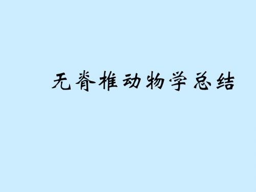 无脊椎动物总结10