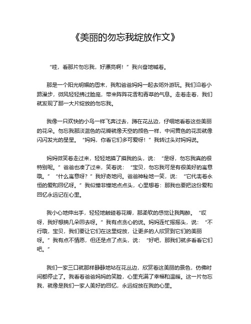 《美丽的勿忘我绽放作文》