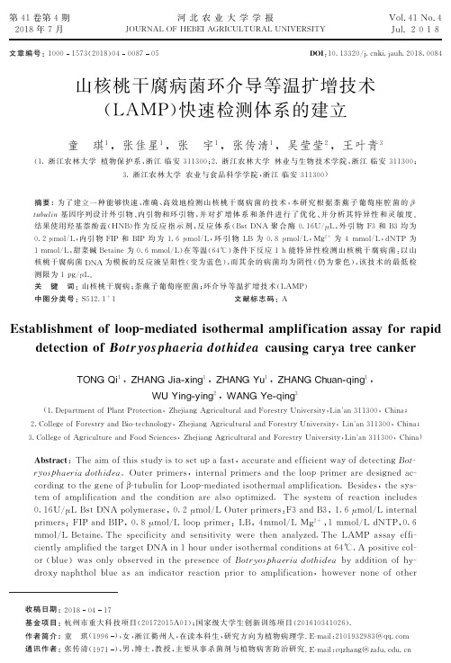 山核桃干腐病菌环介导等温扩增技术(LAMP)快速检测体系的建立