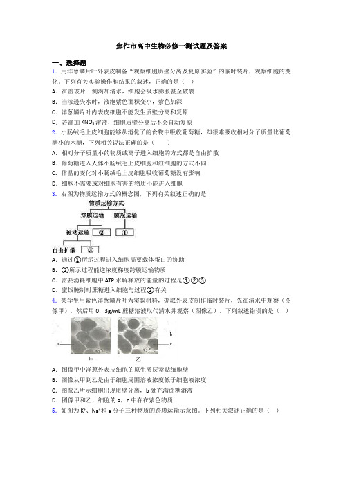 焦作市高中生物必修一测试题及答案