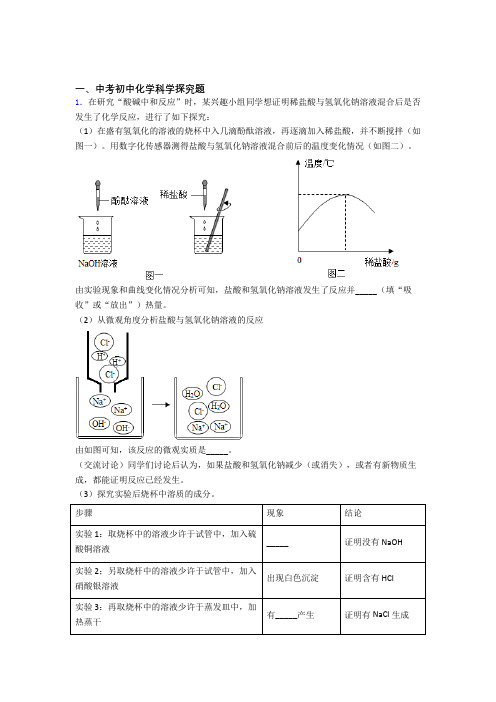 2020-2021化学二模试题分类汇编——探究题综合附答案