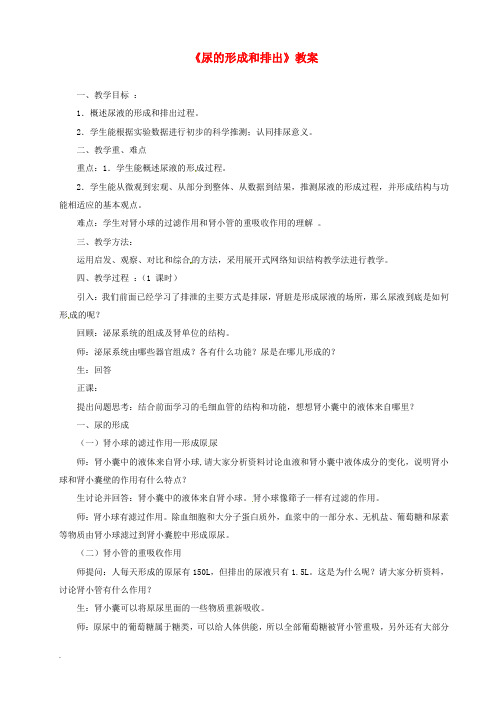 七年级生物下册 尿的形成教案 北师大版