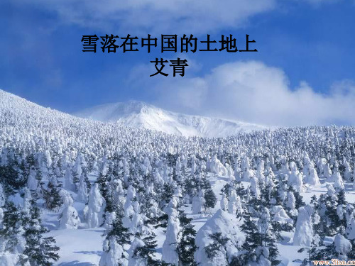 雪落在中国的土地上课件1