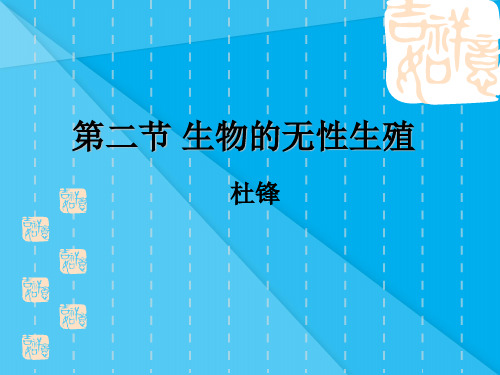 生物的无性生殖PPT课件1 北京版优秀课件