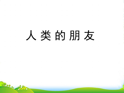 江苏省宿迁市宿豫区陆集初级中学七年级美术《人类的朋友》课件