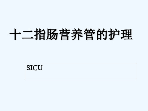 十二指肠营养管的护理终极版 PPT