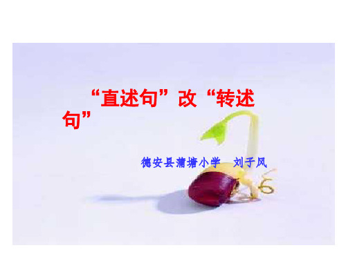 直述句改转述句课件