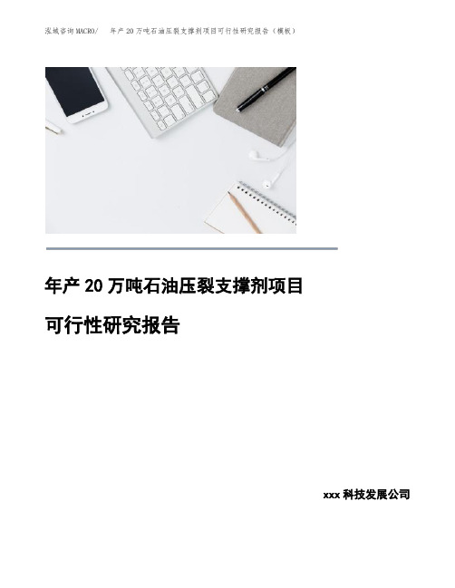 年产20万吨石油压裂支撑剂项目可行性研究报告(模板)