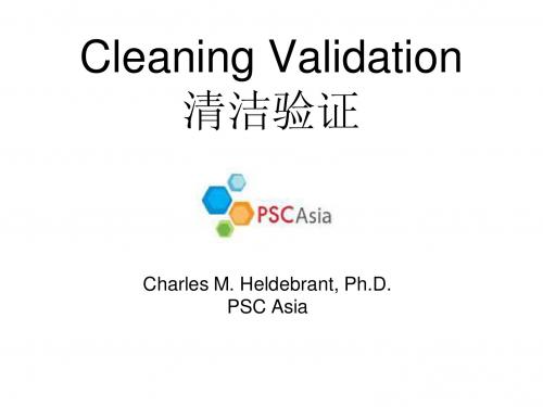 可删除复制_PSC_CV 清洁验证