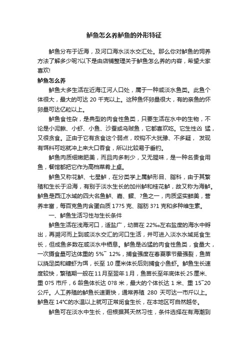 鲈鱼怎么养鲈鱼的外形特征