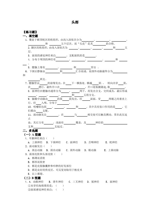 局部解剖学练习题