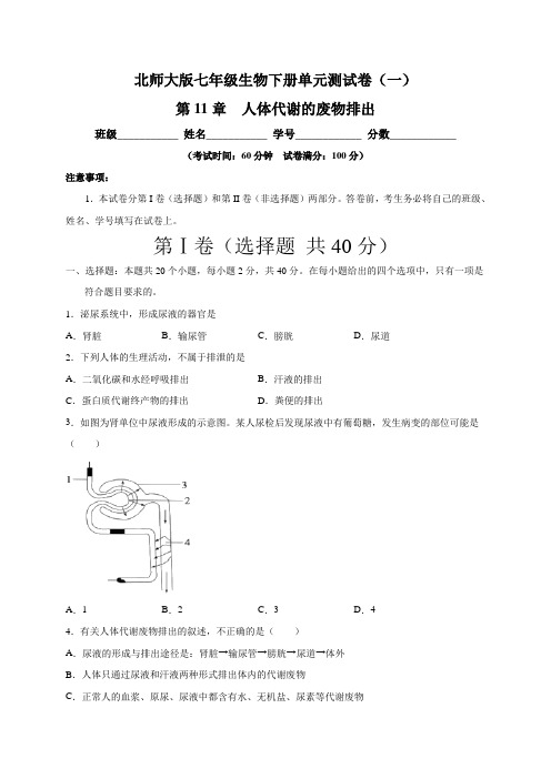 北师大版七年级生物下册 第11章 人体代谢的废物排出  单元测试卷(一)含答案与解析