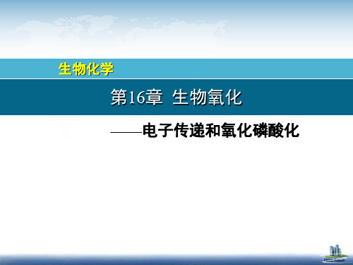 生物化学课件：13 电子传递和氧化磷酸化