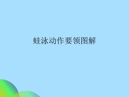 蛙泳动作要领图解