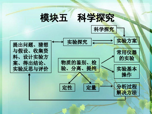 初中化学科学探究 PPT课件 图文