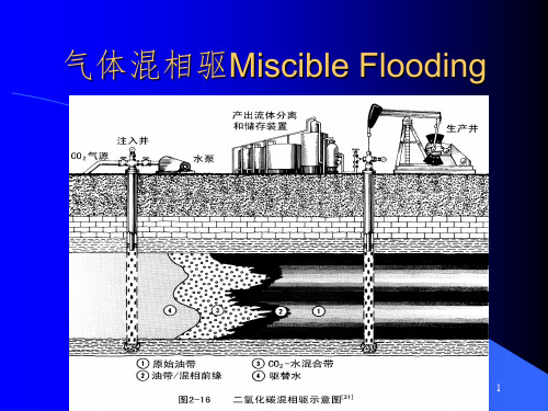 《三次采油技术》PPT课件