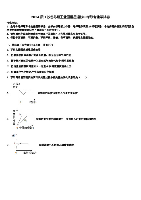 2024届江苏省苏州工业园区星澄校中考联考化学试卷含解析