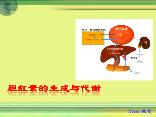 胆红素的生成代谢ppt课件