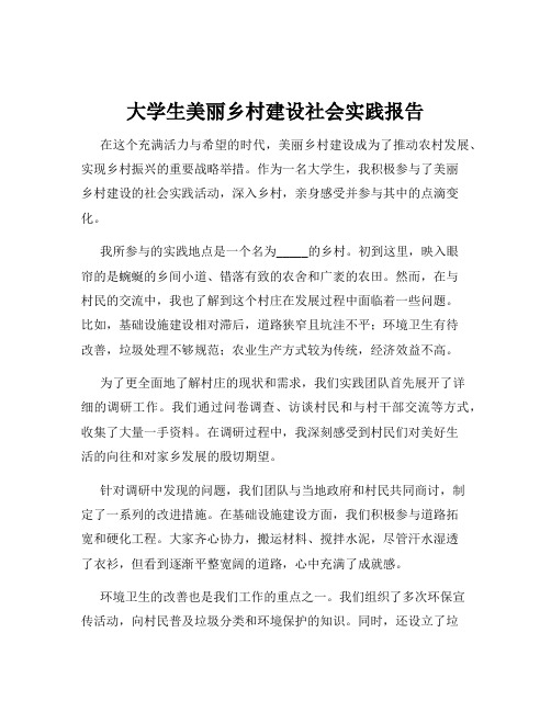 大学生美丽乡村建设社会实践报告