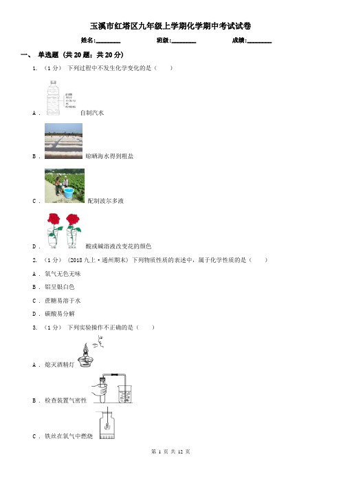 玉溪市红塔区九年级上学期化学期中考试试卷