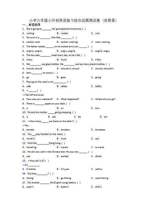 小学六年级小升初英语复习综合试题测试卷(含答案)
