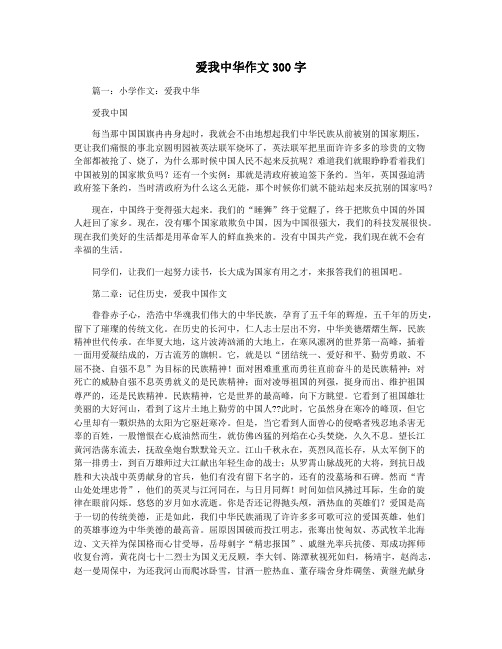 爱我中华作文300字