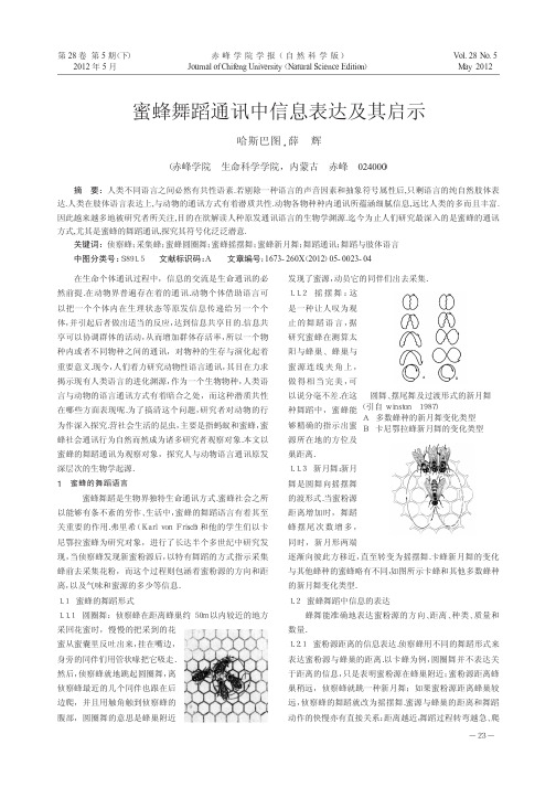 蜜蜂舞蹈通讯中信息表达及其启示