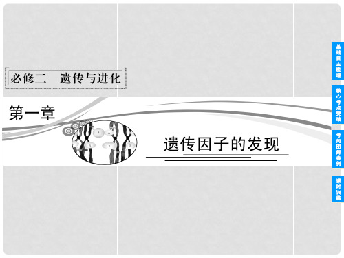 高考生物 1.1孟德尔的碗豆杂交实验(一) 复习课件 新人教版必修2