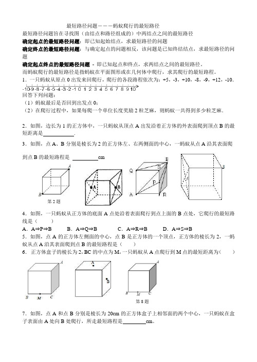 初中数学 最短路径问题―――蚂蚁爬行的最短路径(无答案)