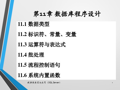 数据库原理与应用(SQL Server ) 第11章 数据库程序设计