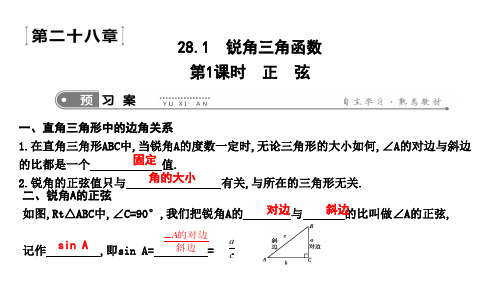 28.1 锐角三角函数 第1课时 正 弦