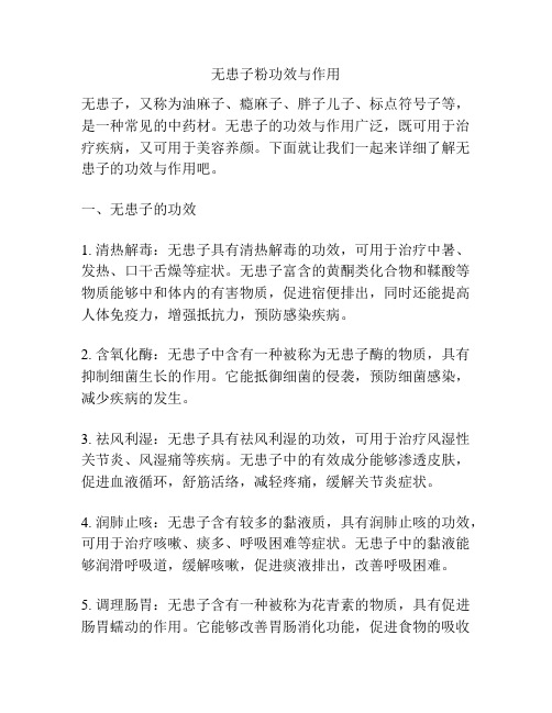 无患子粉功效与作用