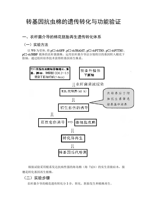 转基因抗虫棉的遗传转化与功能验证